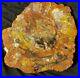 Very_Large_22_Inch_Rainbow_Fossil_Petrified_Wood_Round_End_Cut_01_kz