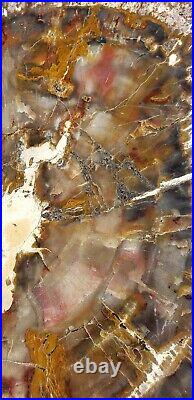 Very Large 24 Inch Fossil Petrified Wood Red Rainbow Round Arizona