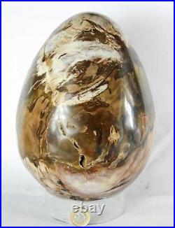 Very Large Petrified Fossil Wood Egg Decor Great Gift Art 9 x 6 Interior Design