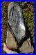 Very_Large_Petrified_Fossil_Wood_Specimen_11_5_inches_tall_RefLRG45_UK_Seller_01_qw