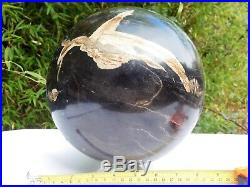 Very Large Petrified Fossil Wood Sphere Ball Home Decor Great Gift Art 8.2