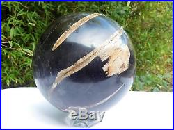Very Large Petrified Fossil Wood Sphere Ball Home Decor Great Gift Art 8.2
