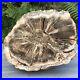 Very_Large_Polished_Petrified_Fossilised_Fossil_Wood_Log_Branch_Or_Trunk_9_2_KG_01_geap