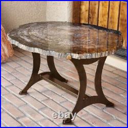 Very large Arizona 32 inch rainbow petrified wood table custom fitted steel base