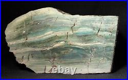 Vibrant Miocene Petrified Bogwood (Green Jasper) from McDermitt, Oregon 12.8 cm