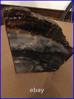 Vintage Arizona Rainbow Petrified Wood Bookends
