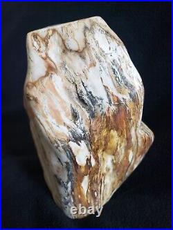 Vintage Petrified Wood Bookend Polished Striated Pattern Rock 6