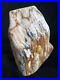 Vintage_Petrified_Wood_Bookend_Polished_Striated_Pattern_Rock_6_01_yp