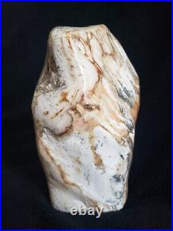 Vintage Petrified Wood Bookend Polished Striated Pattern Rock 6
