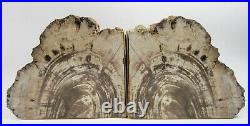 Vintage Petrified Wood Matching Bookends Arizona Tan Black Each 7 W X 6.25 H