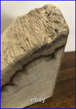 Vintage Stunning Petrified Wood Matching Bookends Arizona 3 Thick X 8.25