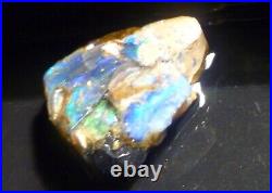 Virgin Valley BLACK Precious Opal Petrified Wood Nevada 55cts