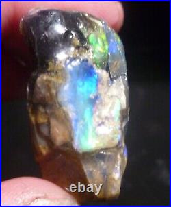 Virgin Valley BLACK Precious Opal Petrified Wood Nevada 55cts