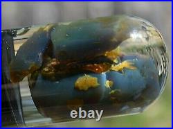 Virgin Valley Black Fire Opals Nevada Opals Replaced Wood Display Dome 50 Carats