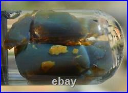 Virgin Valley Black Fire Opals Nevada Opals Replaced Wood Display Dome 50 Carats