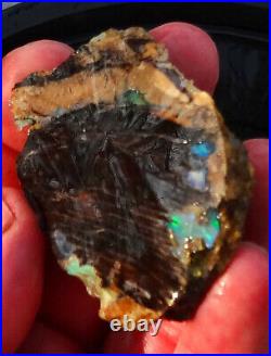 Virgin Valley Black & Precious Opal Petrified Wood Log Nevada 104.10 cts