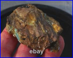 Virgin Valley Black & Precious Opal Petrified Wood Log Nevada 104.10 cts