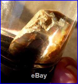 Virgin Valley Black Precious Opal Petrified Wood Specimen Nevada 96.5cts