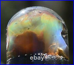 Virgin Valley Fire Opal Nevada Black Opal Replaced Wood Display Dome 31.5 Carats