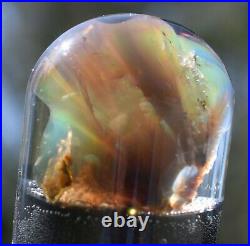 Virgin Valley Fire Opal Nevada Black Opal Replaced Wood Display Dome 31.5 Carats