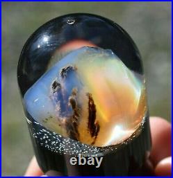 Virgin Valley Fire Opal Nevada Opal With Petrified Wood Display Dome 44.5 Carats