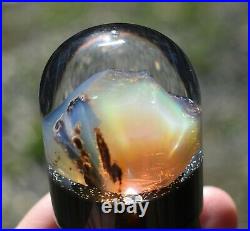 Virgin Valley Fire Opal Nevada Opal With Petrified Wood Display Dome 44.5 Carats