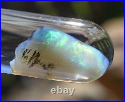 Virgin Valley Fire Opal Nevada Wet Opal Replaced Wood Display Dome 18 Carats