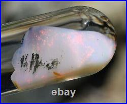 Virgin Valley Fire Opal Nevada Wet Opal Replaced Wood Display Dome 18 Carats