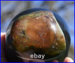 Virgin Valley Fire Opal Nevada Wet Opal Replaced Wood Display Dome 252.5 Carats