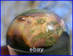 Virgin Valley Fire Opal Nevada Wet Opal Replaced Wood Display Dome 252.5 Carats