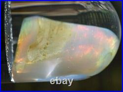 Virgin Valley Fire Opal Nevada Wet Opal Replaced Wood Display Dome 41 Carats