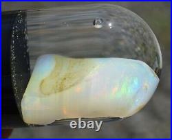 Virgin Valley Fire Opal Nevada Wet Opal Replaced Wood Display Dome 41 Carats