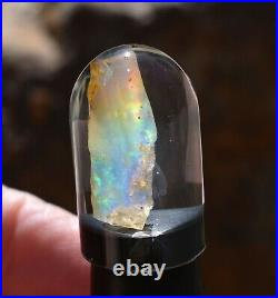 Virgin Valley Fire Opal Nevada Wet Opal Replaced Wood Display Dome 6 Carats