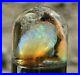 Virgin_Valley_Fire_Opals_Nevada_Wet_Opals_Replaced_Wood_Display_Dome_41_Carats_01_dpg