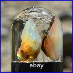 Virgin Valley Fire Opals Nevada Wet Opals Replaced Wood Display Dome 41 Carats