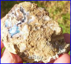 Virgin Valley Precious Opal Petrified Wood Nevada 183cts! Displays DRY