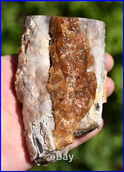 WOW Polished Petrified Wood Limb Calcite Touch Agate Sweetwater County Wyoming