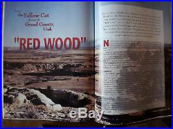 Water Level YELLOW CAT REDWOOD Jurassic Petrified Wood Cast Carnelian BEST