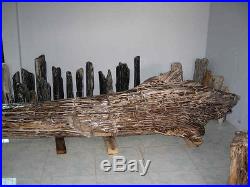 West Java Petrified Wood Tree 7 Meters / 22 ft 11 Long 1932 kg / 4259.331 lbs