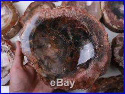 Wholesale Price! 14Pcs/41.6lb Fossil Wood/Petrified Wood Crystal Ashtray Gift