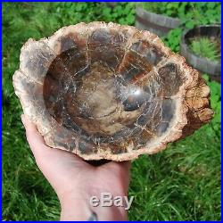XL 5.8lb 9 Natural Petrified Wood Bowl Hand Carved Crystal Stone Bark L Big