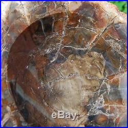 XL 5.8lb 9 Natural Petrified Wood Bowl Hand Carved Crystal Stone Bark L Big