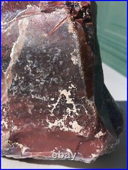 Yellow Cat Petrified Wood Fossil Polished Limb Cast Purple Orange Wisp 7 1/2 Lbs