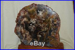 (reduced) Petrified Wood Slab Multi-color 16 1/2 Lbs Rare Size And Weight